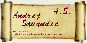Andrej Savandić vizit kartica